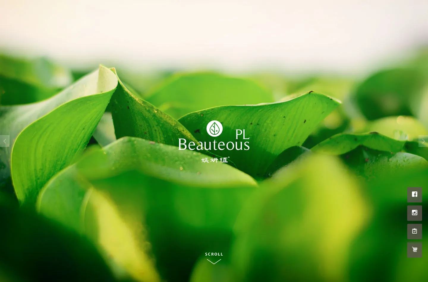 媄妍植 Beauteous Plus